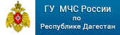 Министерство Российской Федерации по делам гражданской обороны, чрезвычайным ситуациям и ликвидации последствий стихийных бедствий
